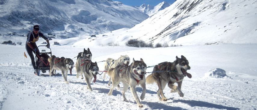 chamonix ski holiday, chamonix winter holiday, husky sledging