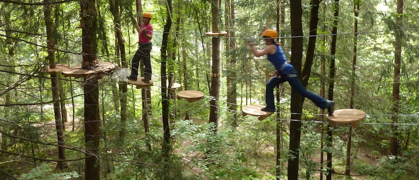 Tree Climbing in the French Alps