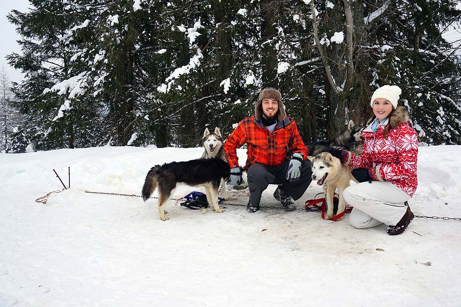 Huskies tours in Chamonix