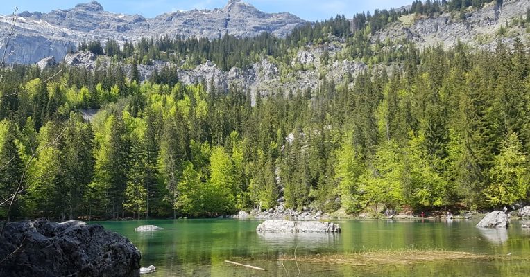 lac-vert Chamonix mums