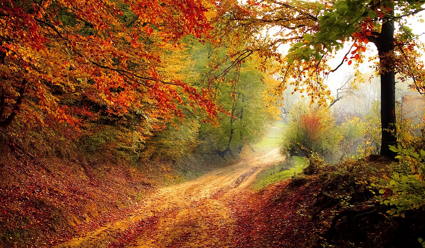 autumn-walks-pixabay-854x498 interseason in Chamonix