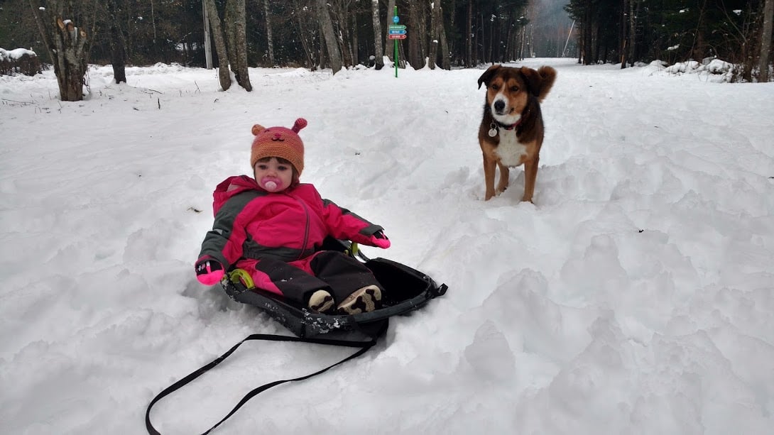 sledging-in-chamonix