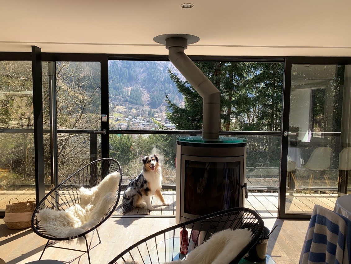 Dog in pet friendly Chalet